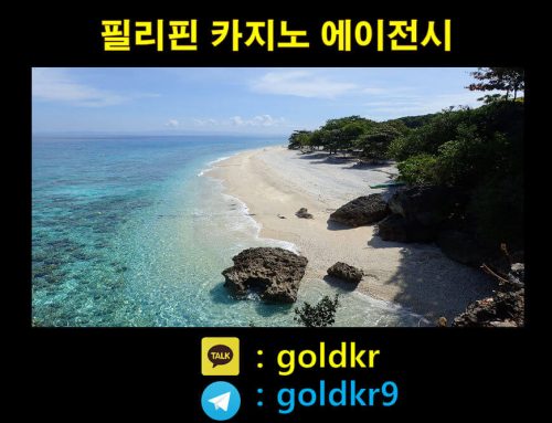세부 카지노 에이전시(아바타) | 최고의 서비스 제공