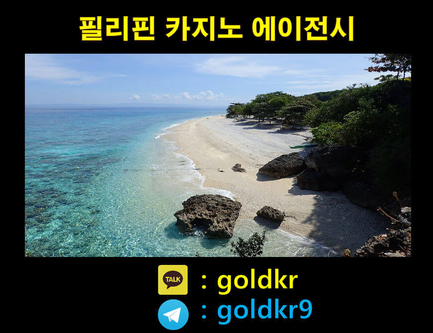 세부카지노에이전시